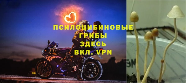 бошки Алексеевка