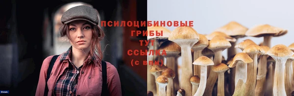 стафф Алзамай
