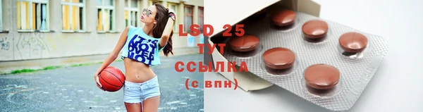 индика Саяногорск
