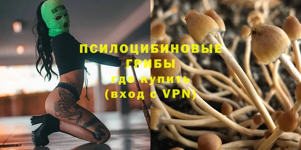 бошки Алексеевка