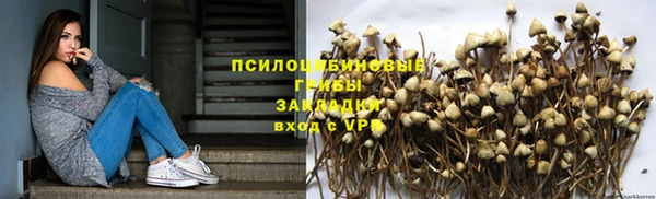 трава Алексин