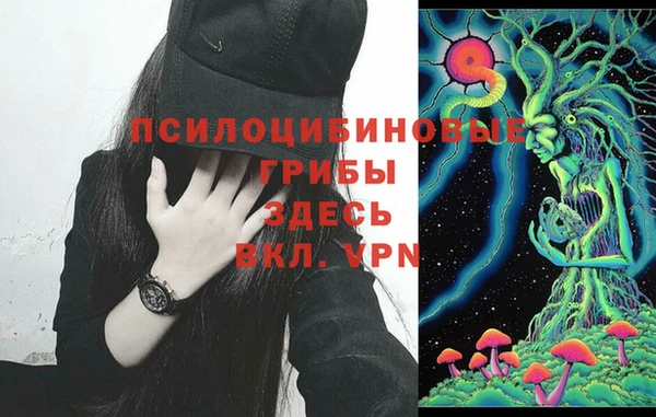 стафф Алзамай
