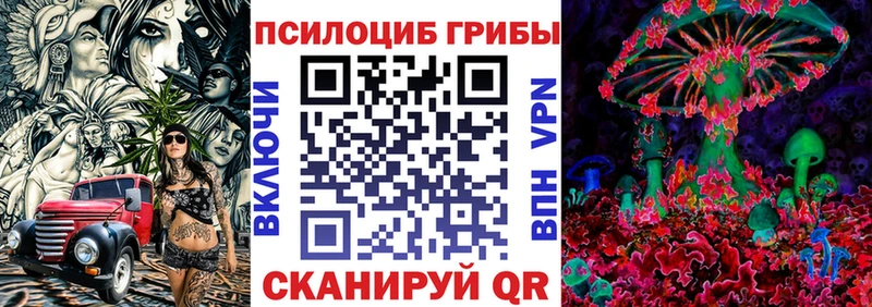 Галлюциногенные грибы Psilocybine cubensis  Нововоронеж 