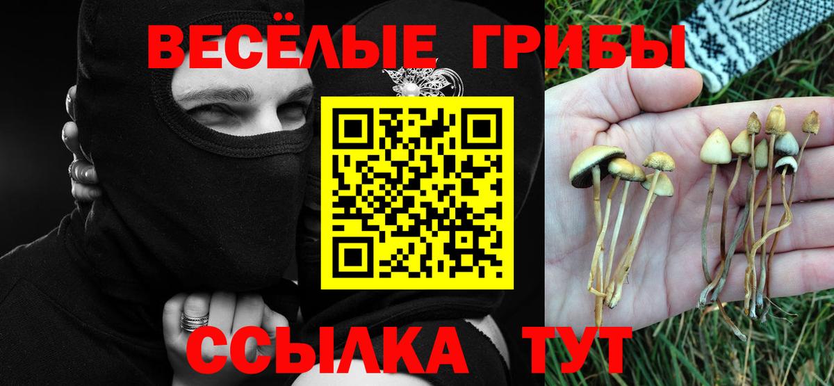Псилоцибиновые грибы мухоморы  Вход с VPN  Нововоронеж  Галлюциногенные грибы ЛСД 