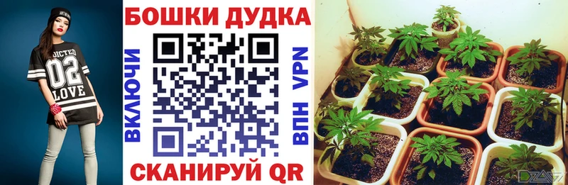 Бошки марихуана White Widow  Нововоронеж 